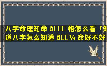 八字命理知命 🍀 格怎么看「知道八字怎么知道 🐼 命好不好」